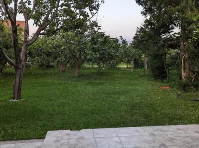 Filipovic * Podgorica